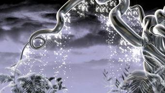 水族毒蛇爆料视频大全,惊心动魄的爆料视频大全  第3张